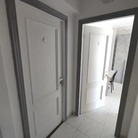 Guest house Sinisi *
